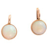 A Pair Of Opal And 18kt Yellow Gold Earrings