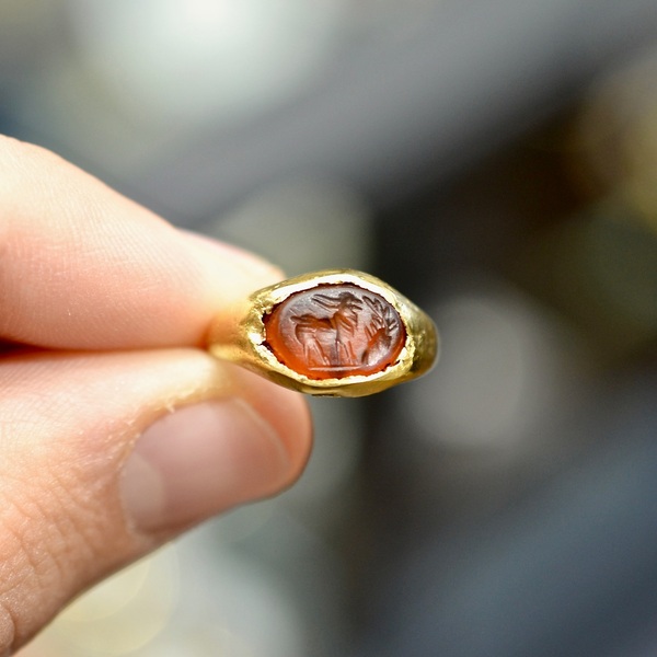 Ancient Roman Gold Ring With Deer And Cypress Intaglio 2rd Century AD #bernardo 

The deer is the symbol of vital regeneration due to the periodic renewal of its horns (also compared to the branches of trees) and takes on an allegorical value of development and union between the superior and inferior forces. Even depicted next to the Buddha, who is said to have been reincarnated in a previous life as a golden deer, this graceful and elegant animal is also connected to the alchemical Mercury, a psychic substance that acts as an intermediary, a bridge between the conscious and the unconscious, providing us with the extraordinary possibility of illuminating the interior and allowing the deep self to manifest itself. In medieval bestiaries it is said that the animal, a bitter enemy of snakes, to flush them out fills its mouth with water, pours it into the den and with a breath drags them out and kills them by trampling them with its paws: religious iconography takes up this concept to allude to good triumphing over evil. The Latin poet Ovid tells of Cyparissus, who spent his days in the woods in the company of a deer with golden antlers and who was transformed into a Cypress after asking the Gods to remain in eternal mourning following an accident that led him to kill his beloved deer. For this reason the cypress has been associated with pain and called “the tree that grows near those who suffer”. The Persians instead considered it the “first tree of paradise”, as it established a sort of connection between the world of the underworld and that of the heavens: its roots grow in the depths of the earth, while its crown rises towards the sky.